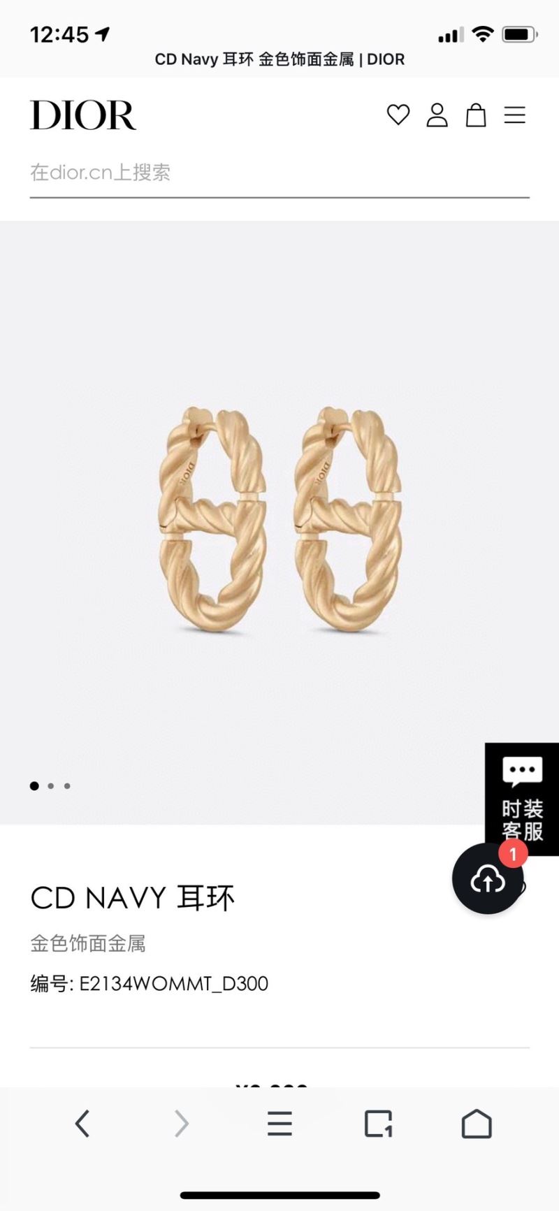 chr1st1an D10r earrings